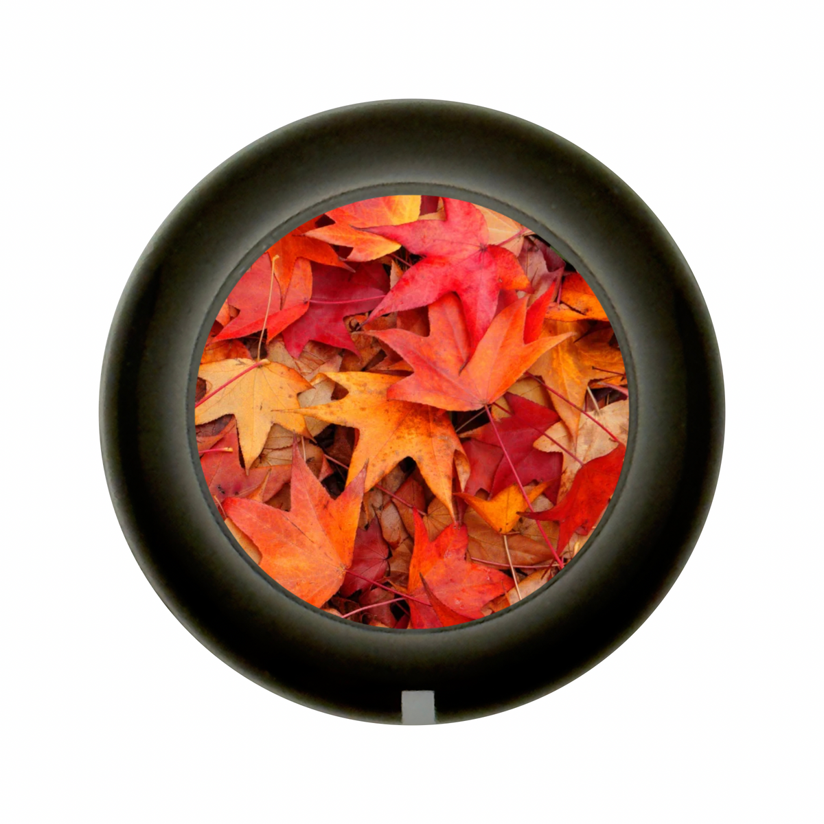 Custom Strums® Autumn Leaves Bell-Style Knob Metric (Single)