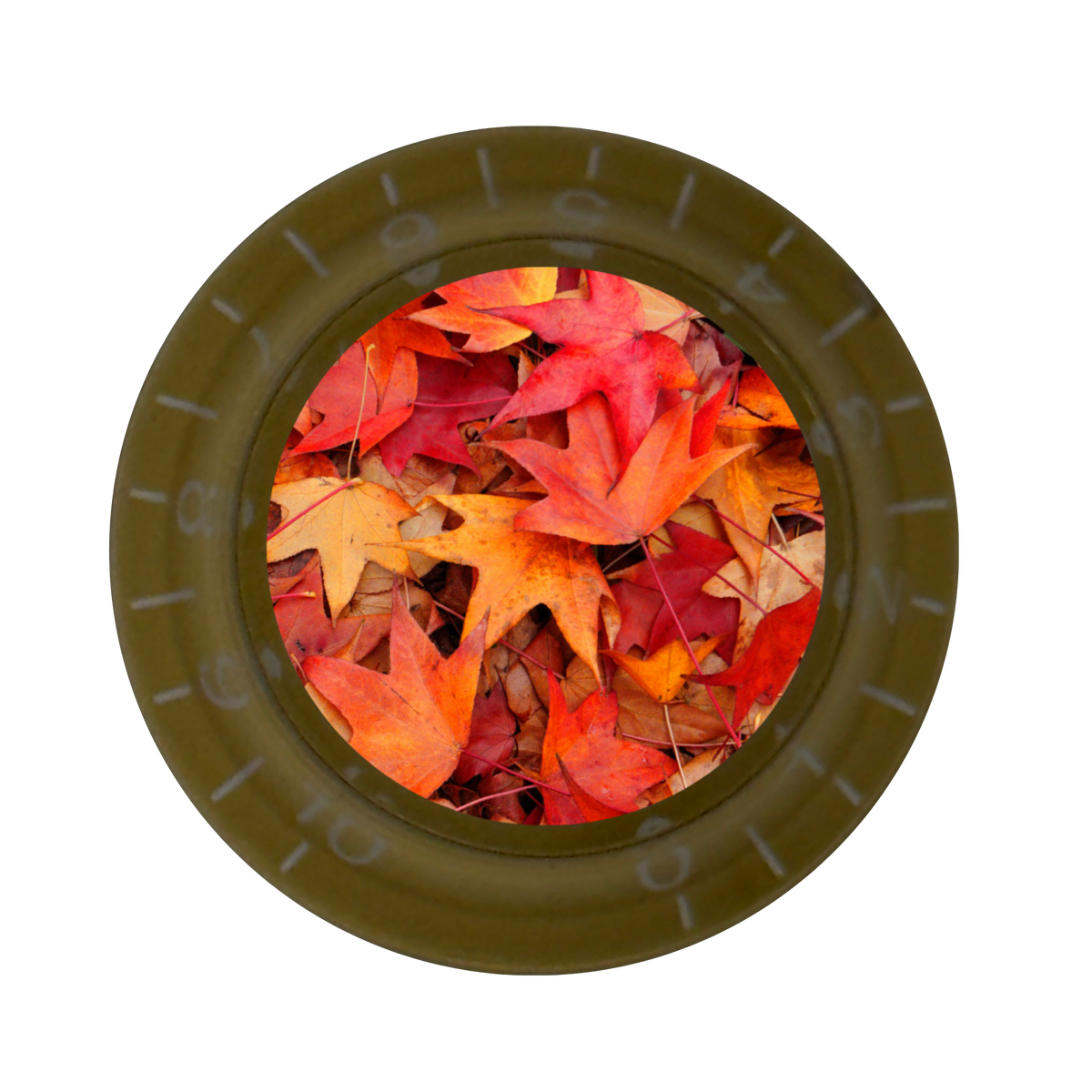 Custom Strums® Autumn Leaves Top Hat-Style Knob (Single)