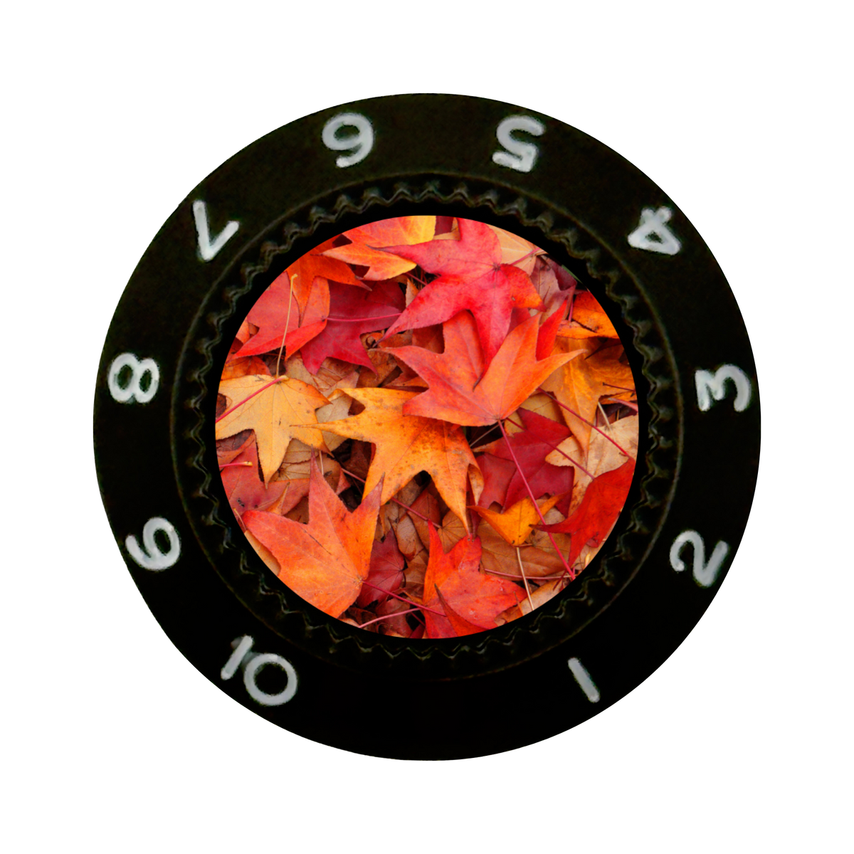 Custom Strums® Autumn Leaves Strat-Style Knob (Single)