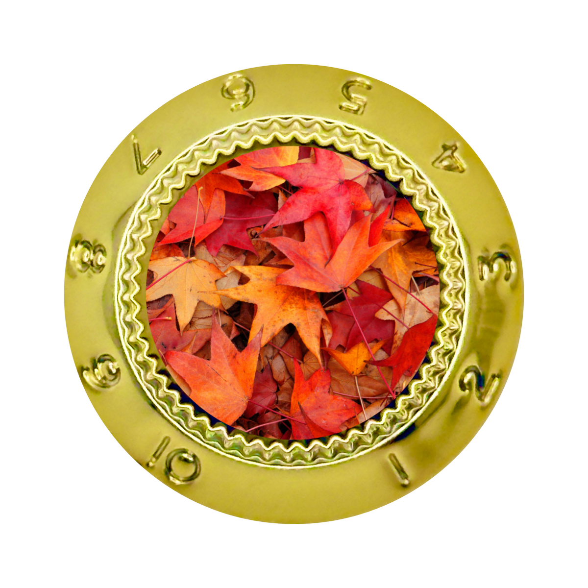 Custom Strums® Autumn Leaves Strat-Style Knob (Single)