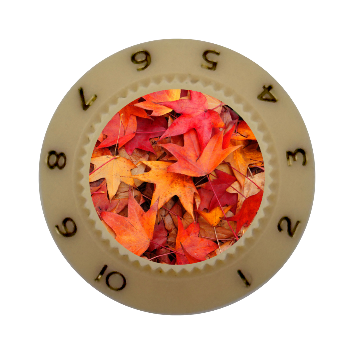 Custom Strums® Autumn Leaves Strat-Style Knob (Single)