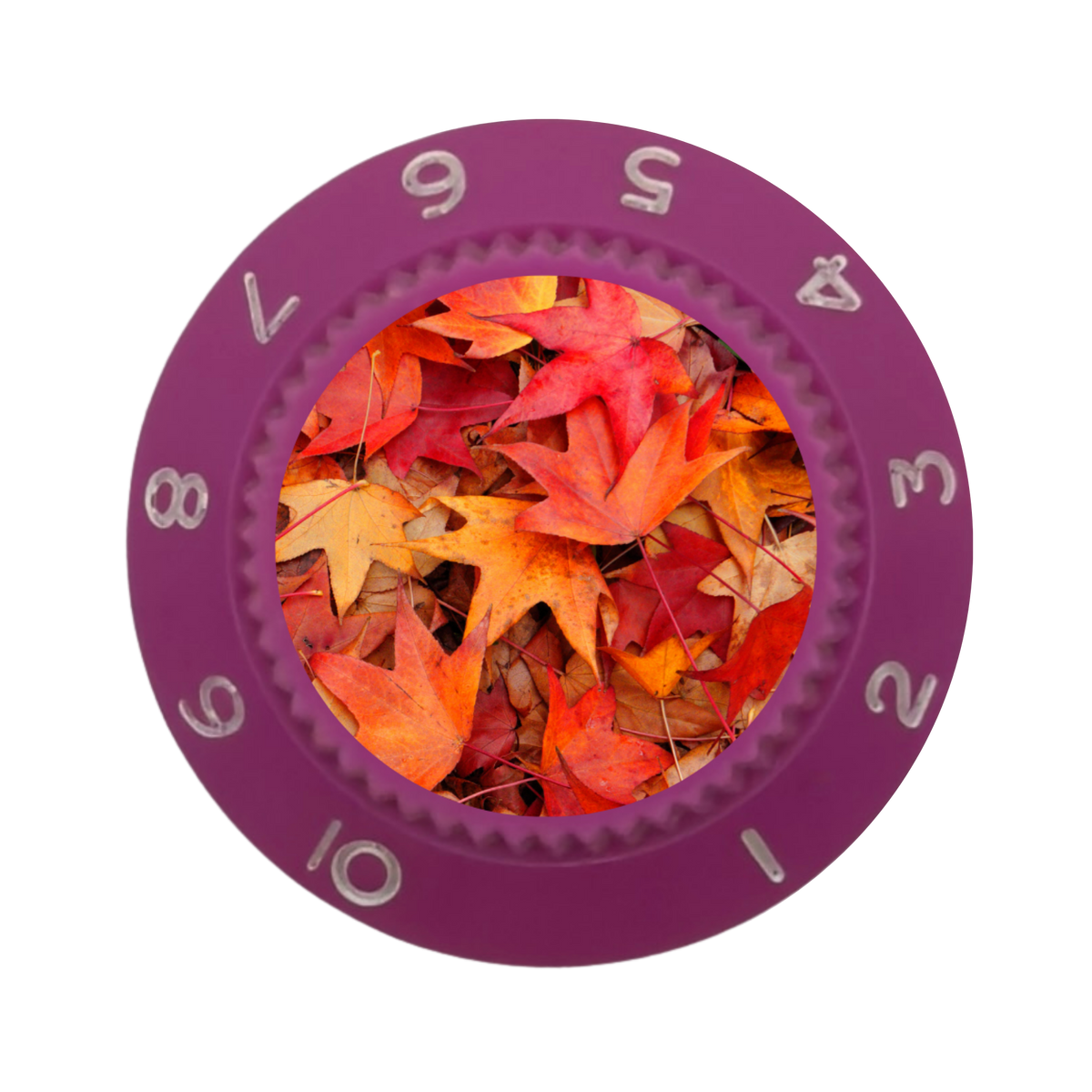 Custom Strums® Autumn Leaves Strat-Style Knob (Single)