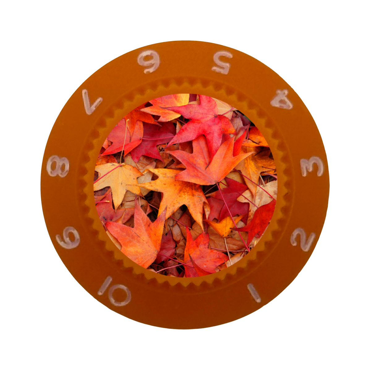 Custom Strums® Autumn Leaves Strat-Style Knob (Single)