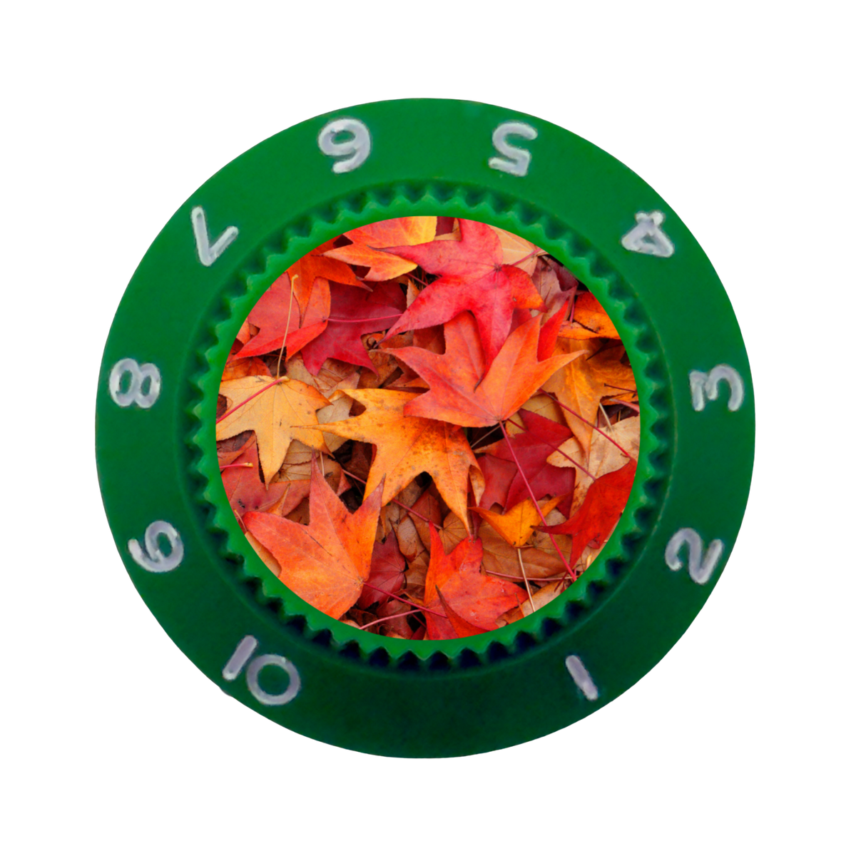Custom Strums® Autumn Leaves Strat-Style Knob (Single)
