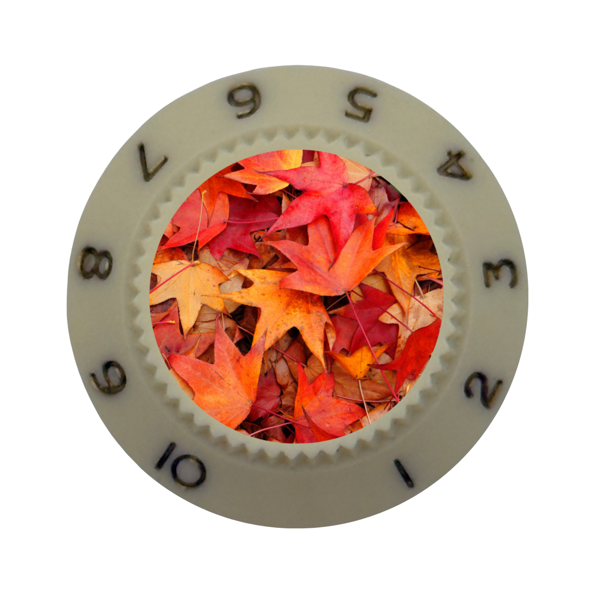 Custom Strums® Autumn Leaves Strat-Style Knob (Single)
