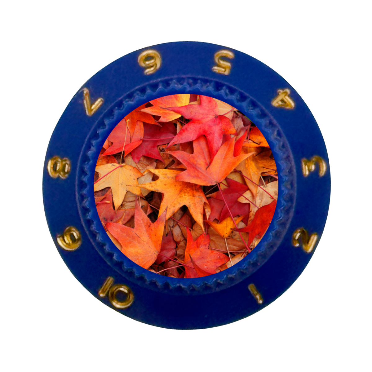 Custom Strums® Autumn Leaves Strat-Style Knob (Single)