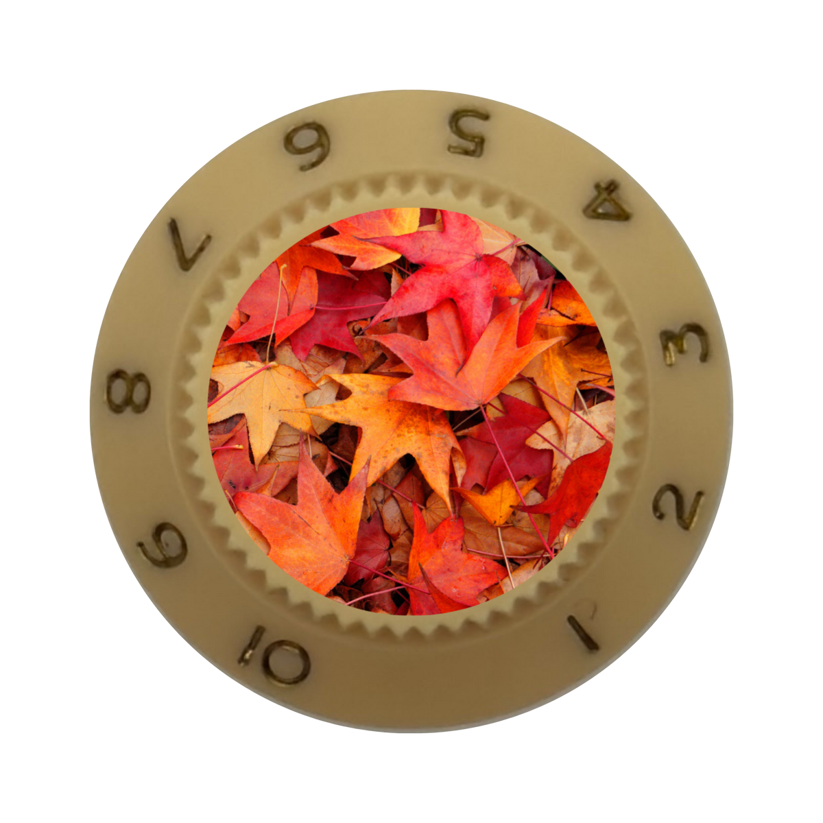 Custom Strums® Autumn Leaves Strat-Style Knob (Single)