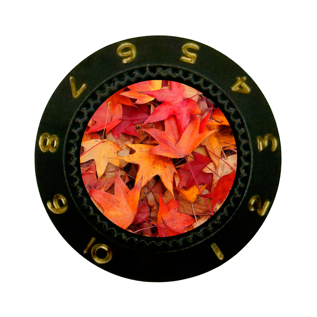 Custom Strums® Autumn Leaves Strat-Style Knob (Single)