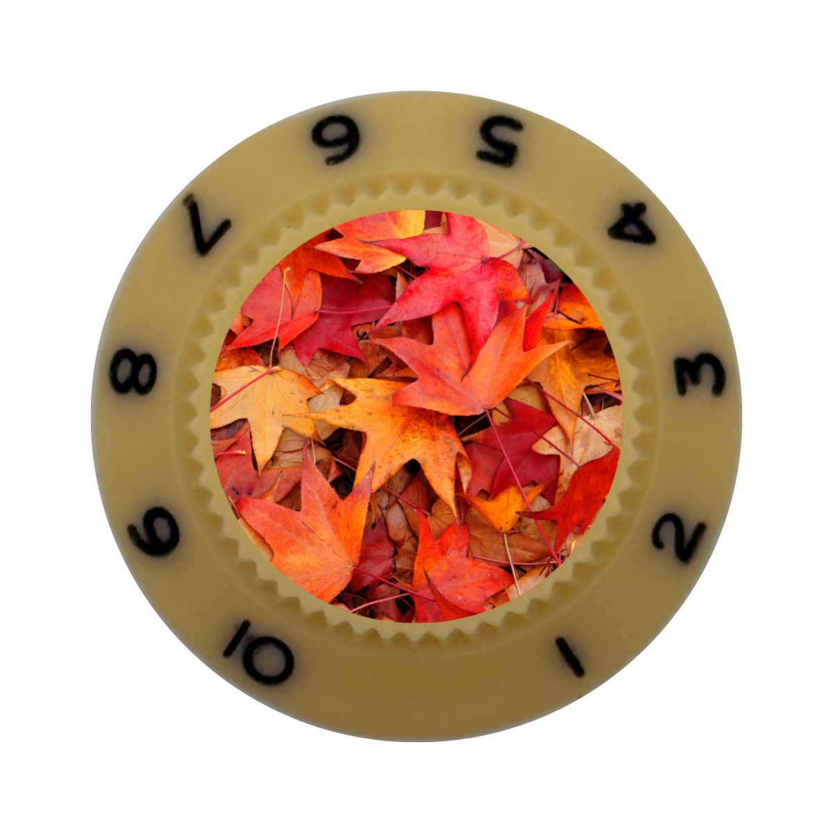 Custom Strums® Autumn Leaves Strat-Style Knob (Single)