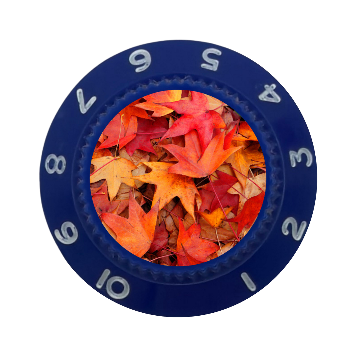 Custom Strums® Autumn Leaves Strat-Style Knob (Single)