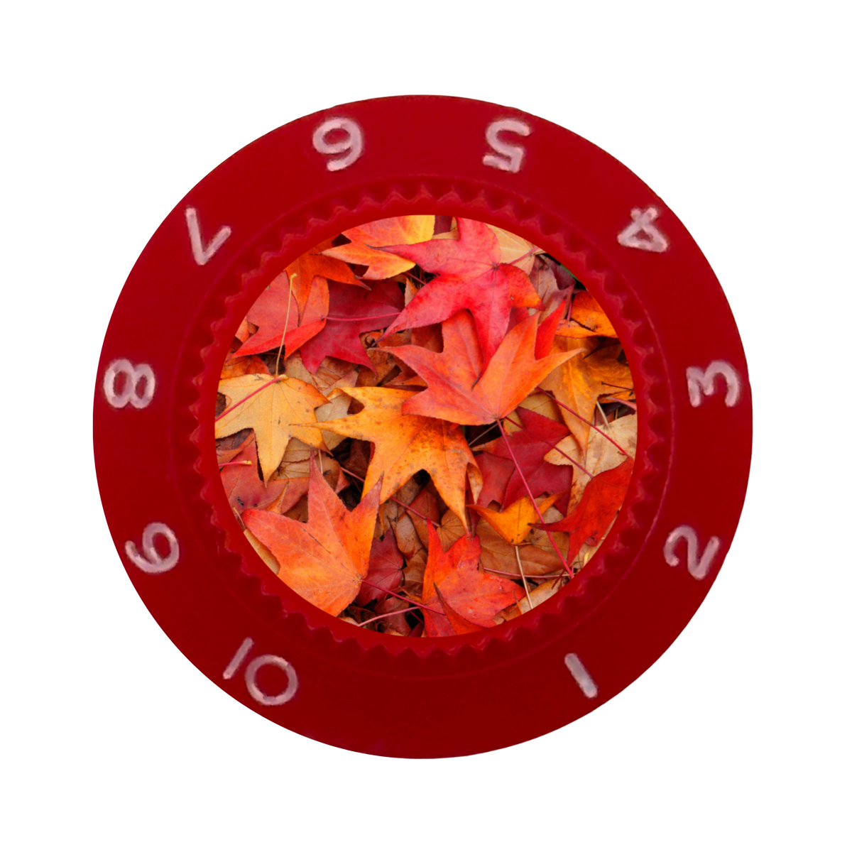 Custom Strums® Autumn Leaves Strat-Style Knob (Single)