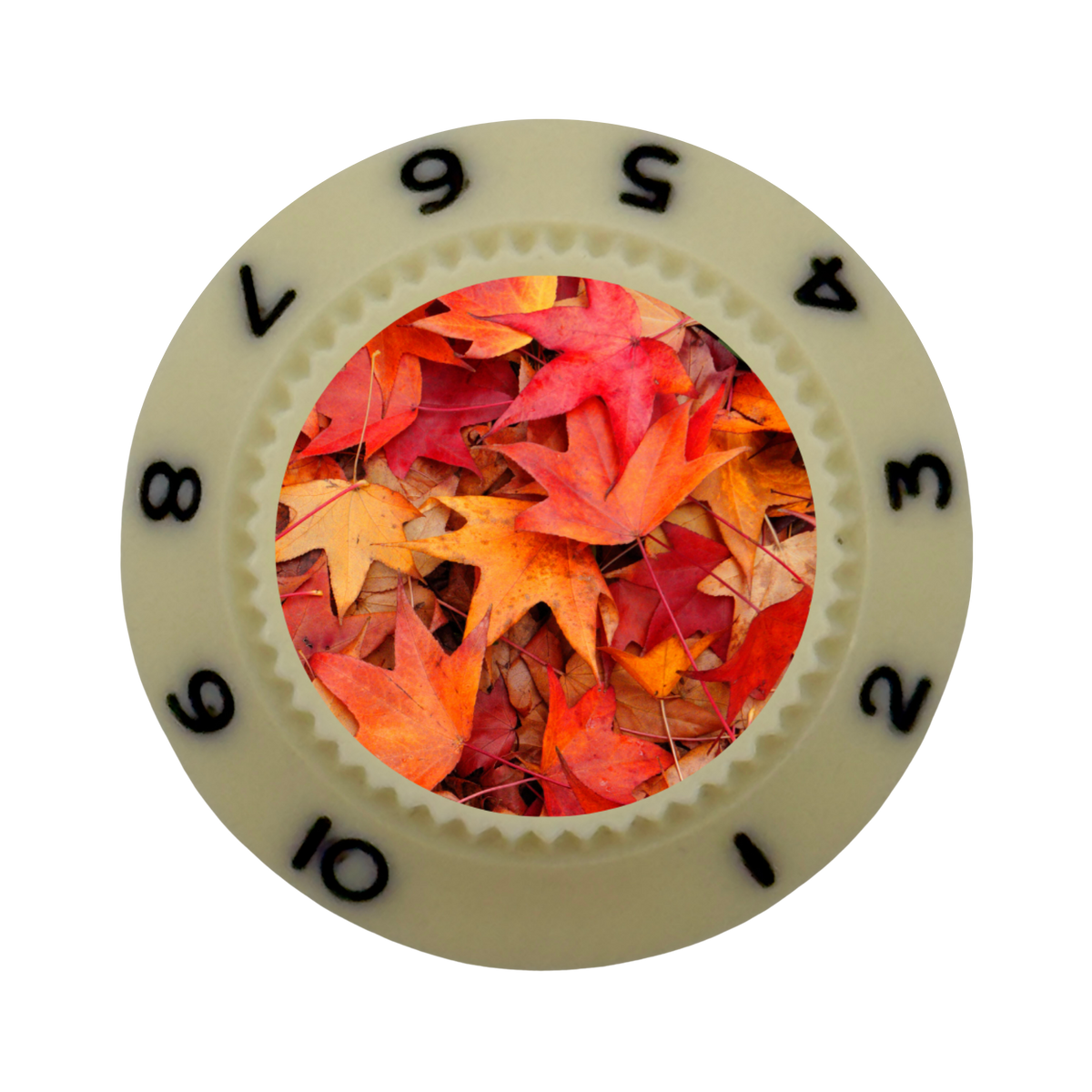 Custom Strums® Autumn Leaves Strat-Style Knob (Single)