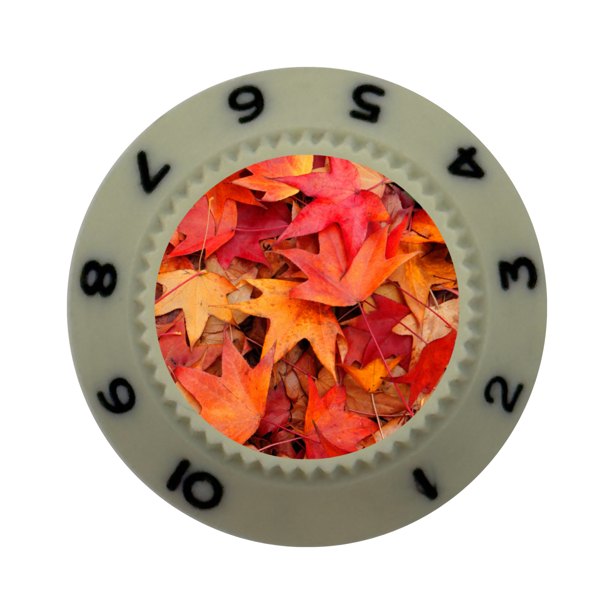 Custom Strums® Autumn Leaves Strat-Style Knob (Single)