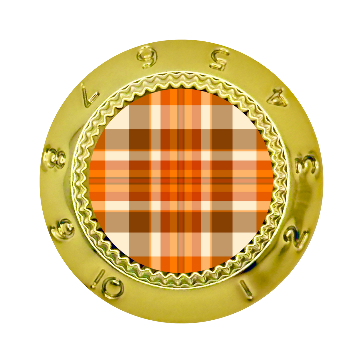 Custom Strums® Fall Plaid Strat-Style Knob (Single)