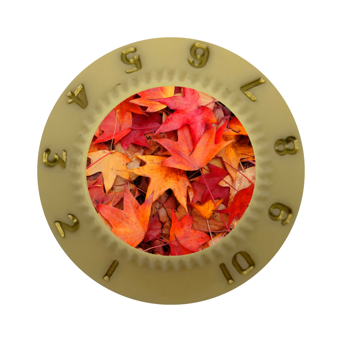 Custom Strums® Autumn Leaves Strat-Style Knob (Single)