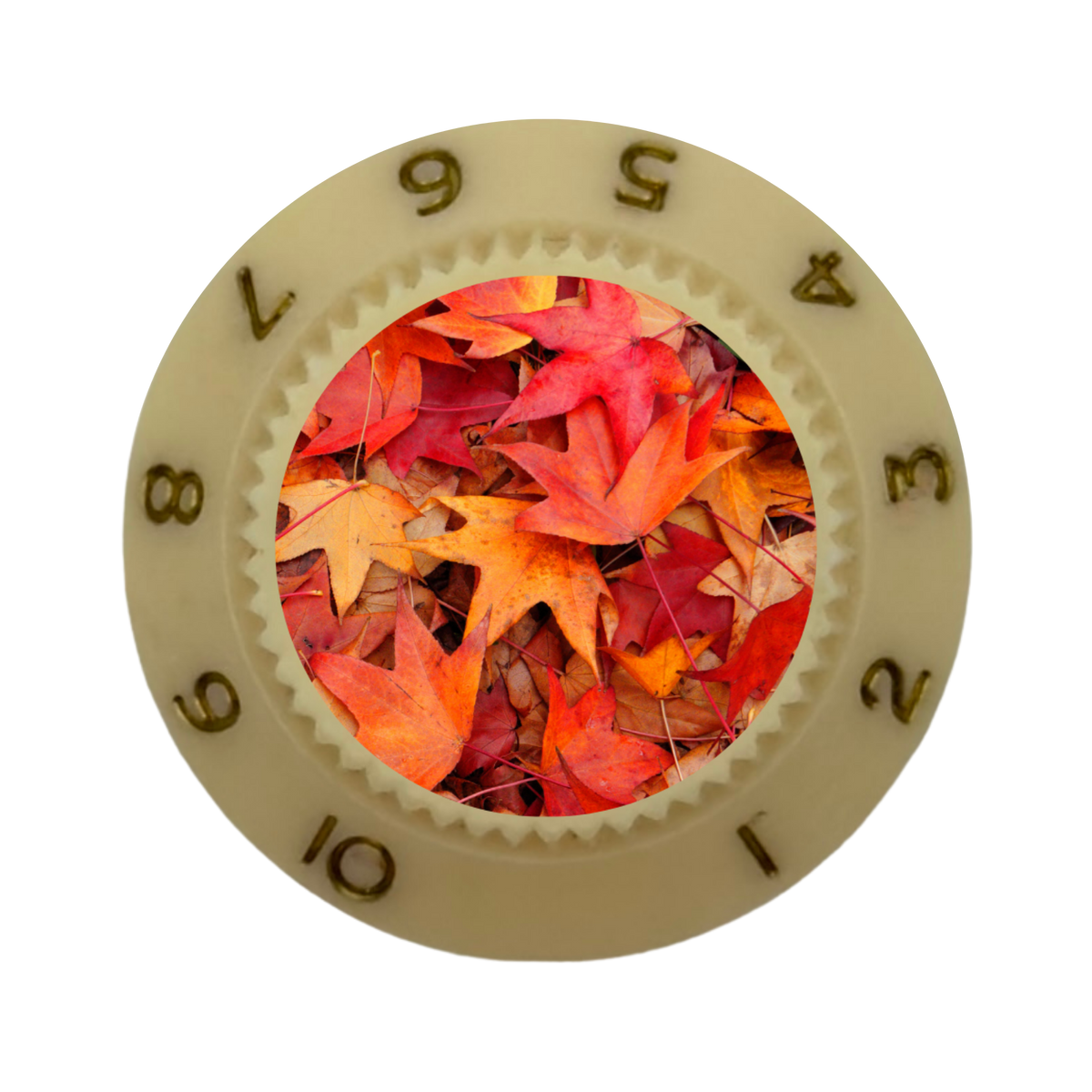 Custom Strums® Autumn Leaves Strat-Style Knob (Single)