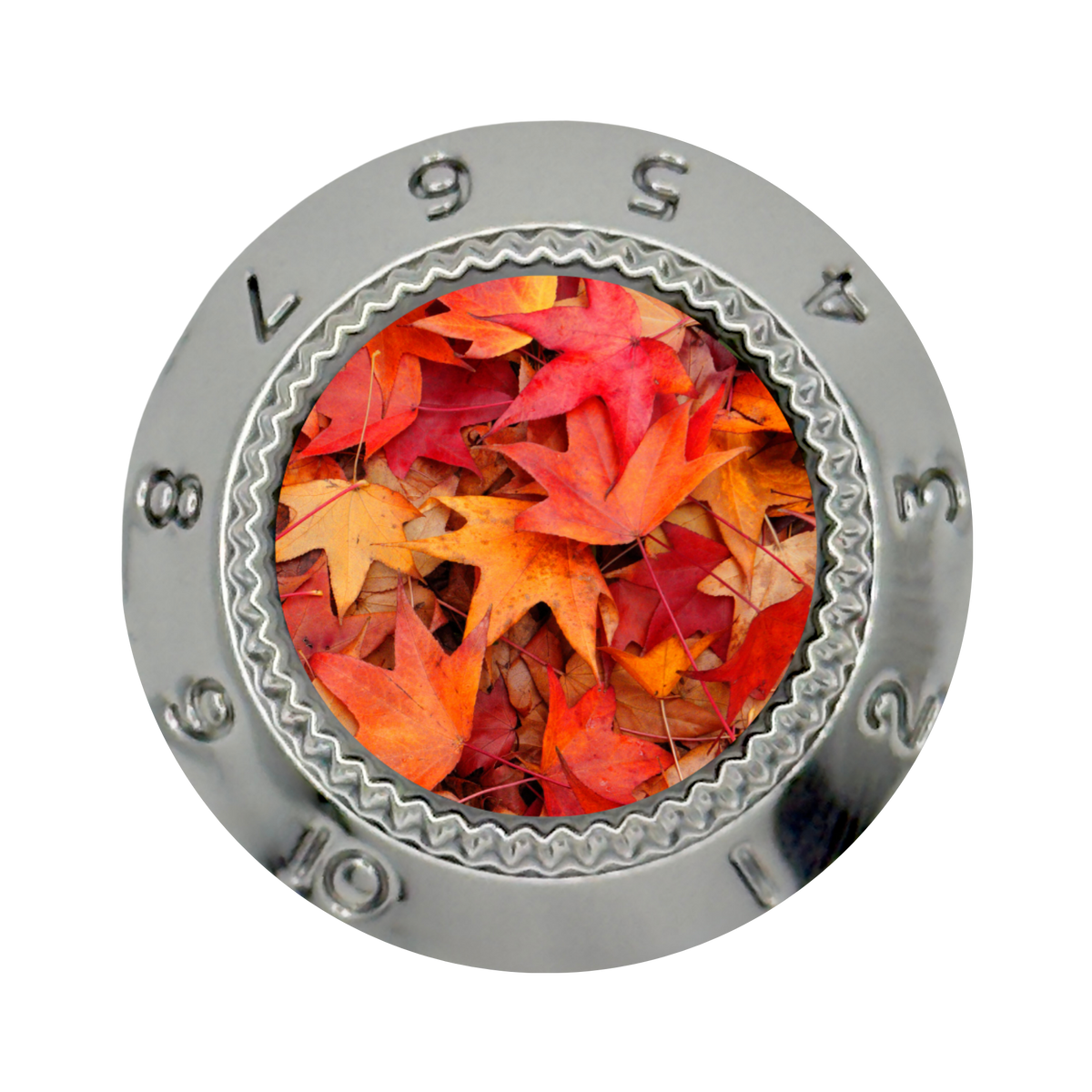 Custom Strums® Autumn Leaves Strat-Style Knob (Single)