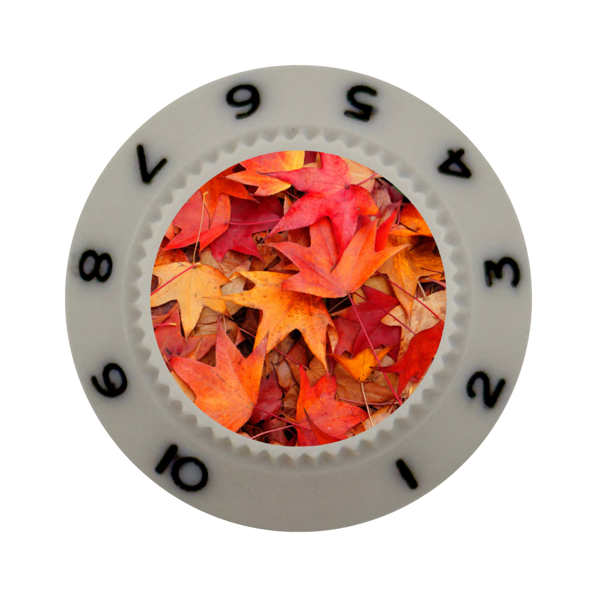 Custom Strums® Autumn Leaves Strat-Style Knob (Single)