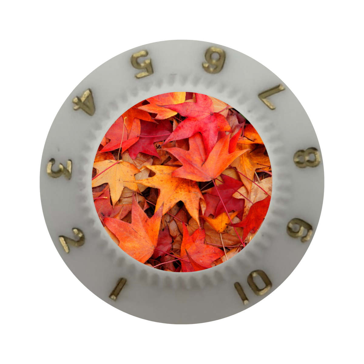 Custom Strums® Autumn Leaves Strat-Style Knob (Single)