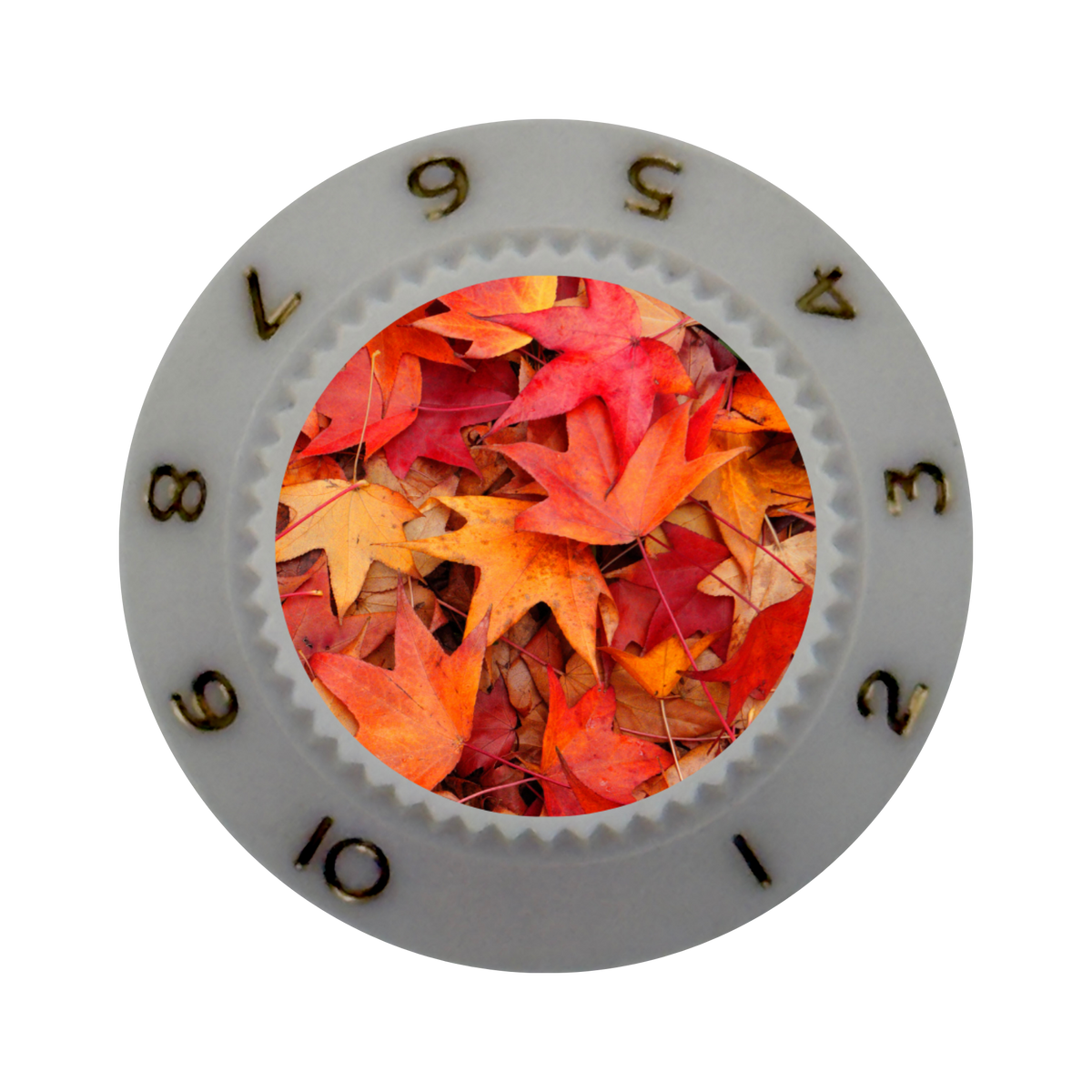 Custom Strums® Autumn Leaves Strat-Style Knob (Single)