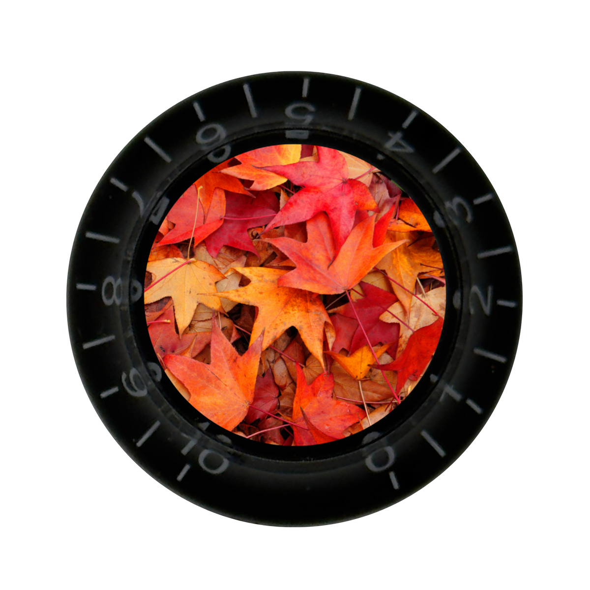 Custom Strums® Autumn Leaves Top Hat-Style Knob (Single)