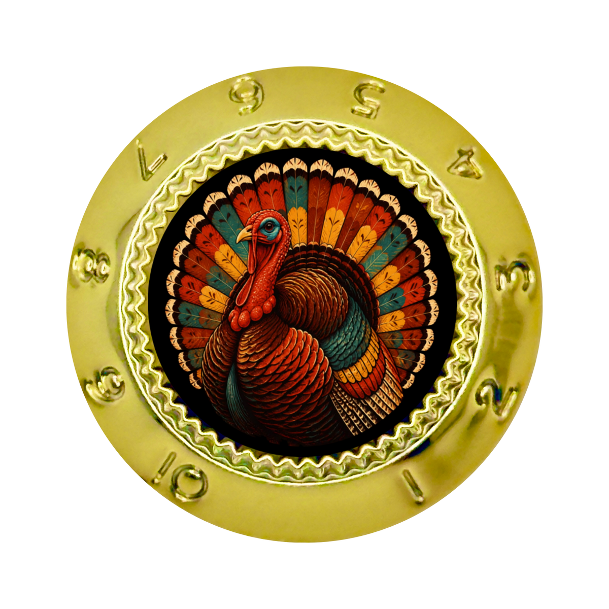 Custom Strums® Thanksgiving Turkey Strat-Style Knob (Single)